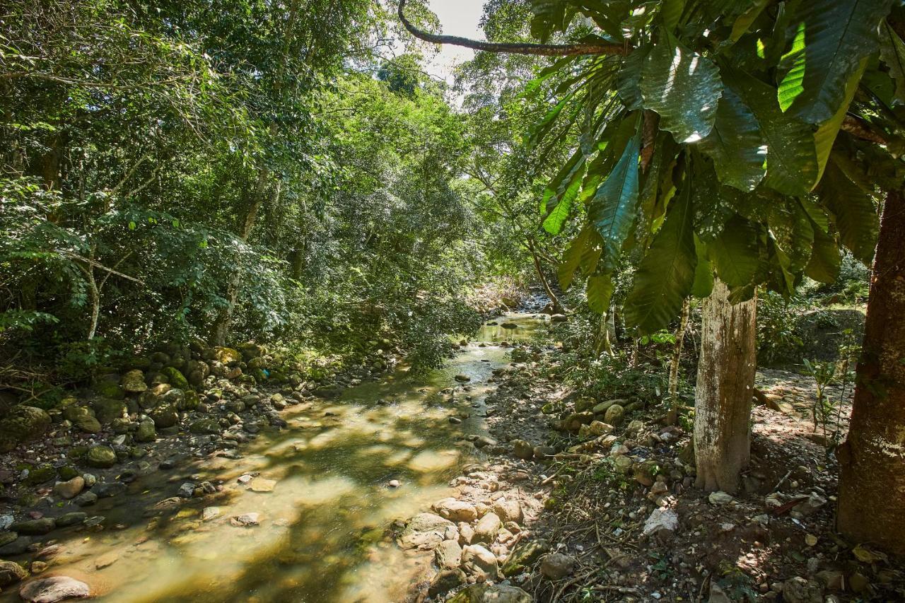 Villa Lu Amazon Ecolodge ตาราโปโต ภายนอก รูปภาพ