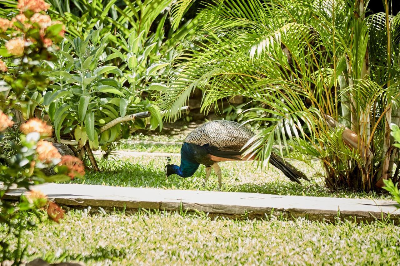 Villa Lu Amazon Ecolodge ตาราโปโต ภายนอก รูปภาพ