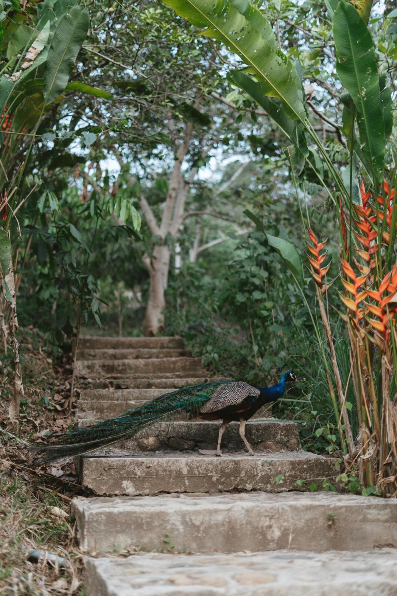Villa Lu Amazon Ecolodge ตาราโปโต ภายนอก รูปภาพ